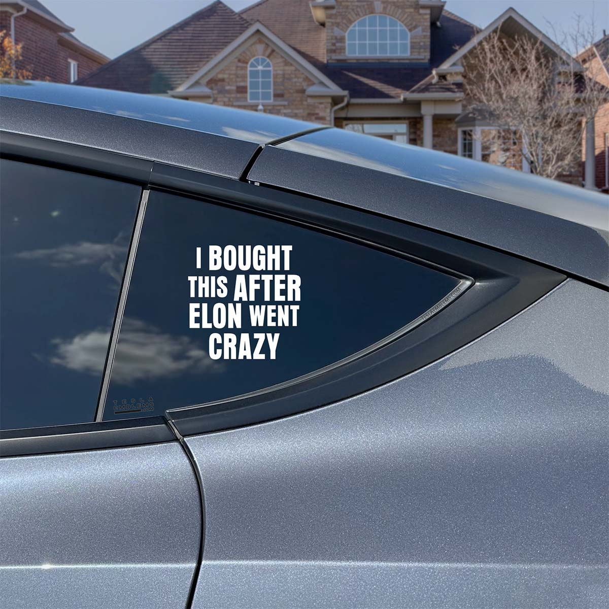 I Bought This After Elon Went Crazy | Cut Vinyl Letters Sticker - Tesla Emblems