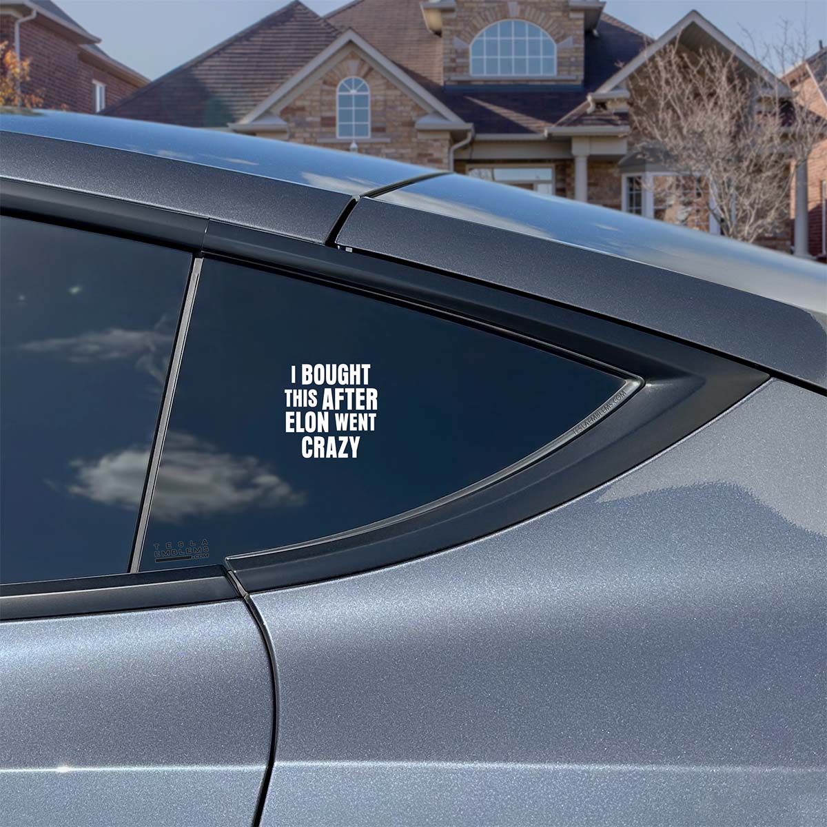 I Bought This After Elon Went Crazy | Cut Vinyl Letters Sticker - Tesla Emblems