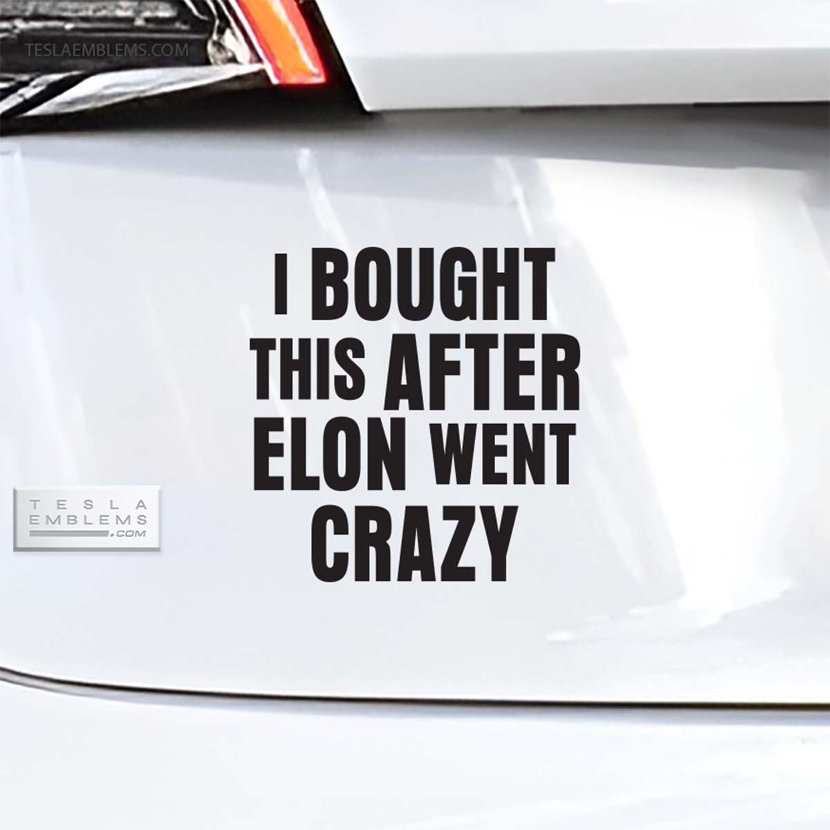 I Bought This After Elon Went Crazy | Cut Vinyl Letters Sticker - Tesla Emblems