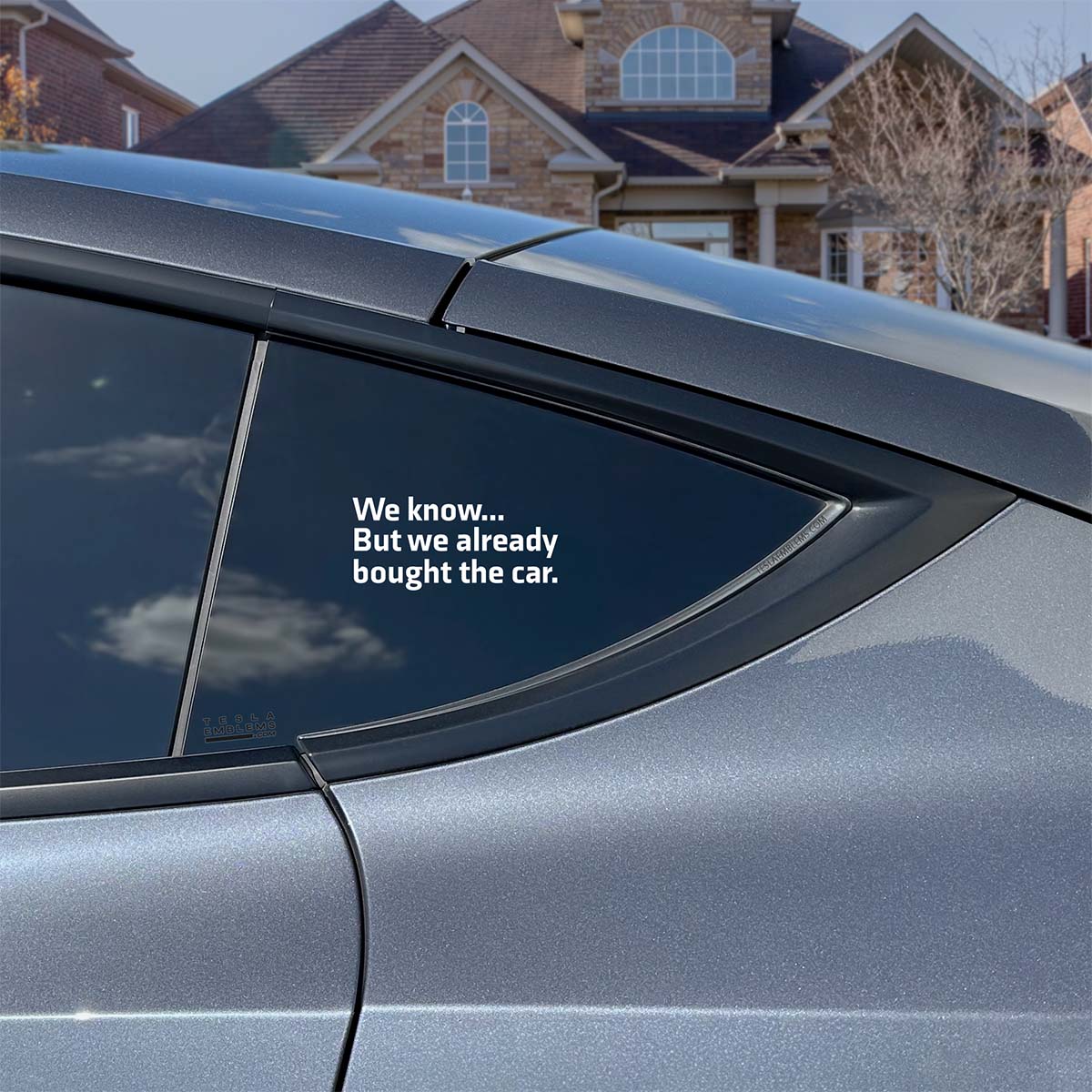 We Know... But We Already Bought The Car | Cut Vinyl Letters Sticker - Tesla Emblems