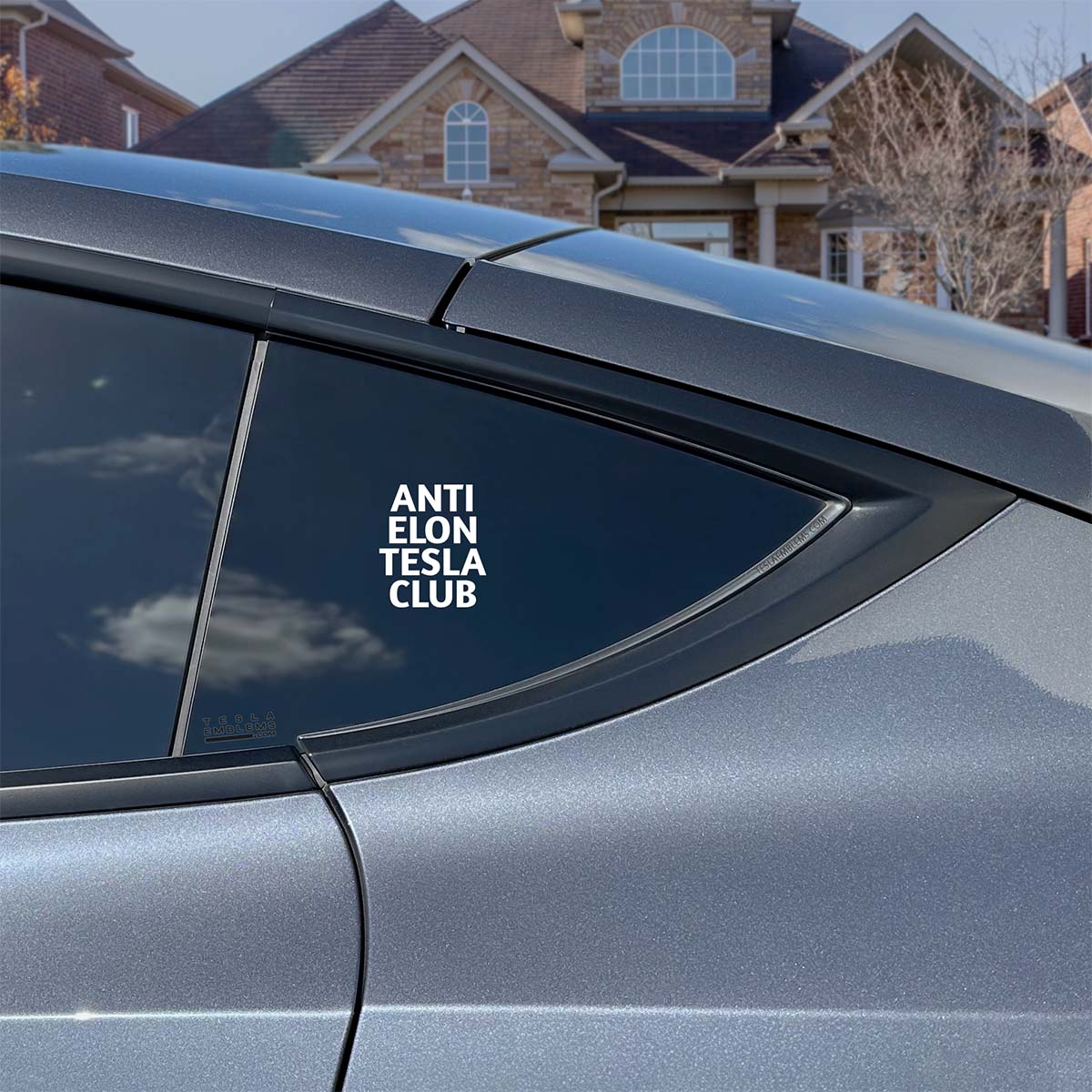 Anti Elon Tesla Club | Cut Vinyl Letters Sticker - Tesla Emblems