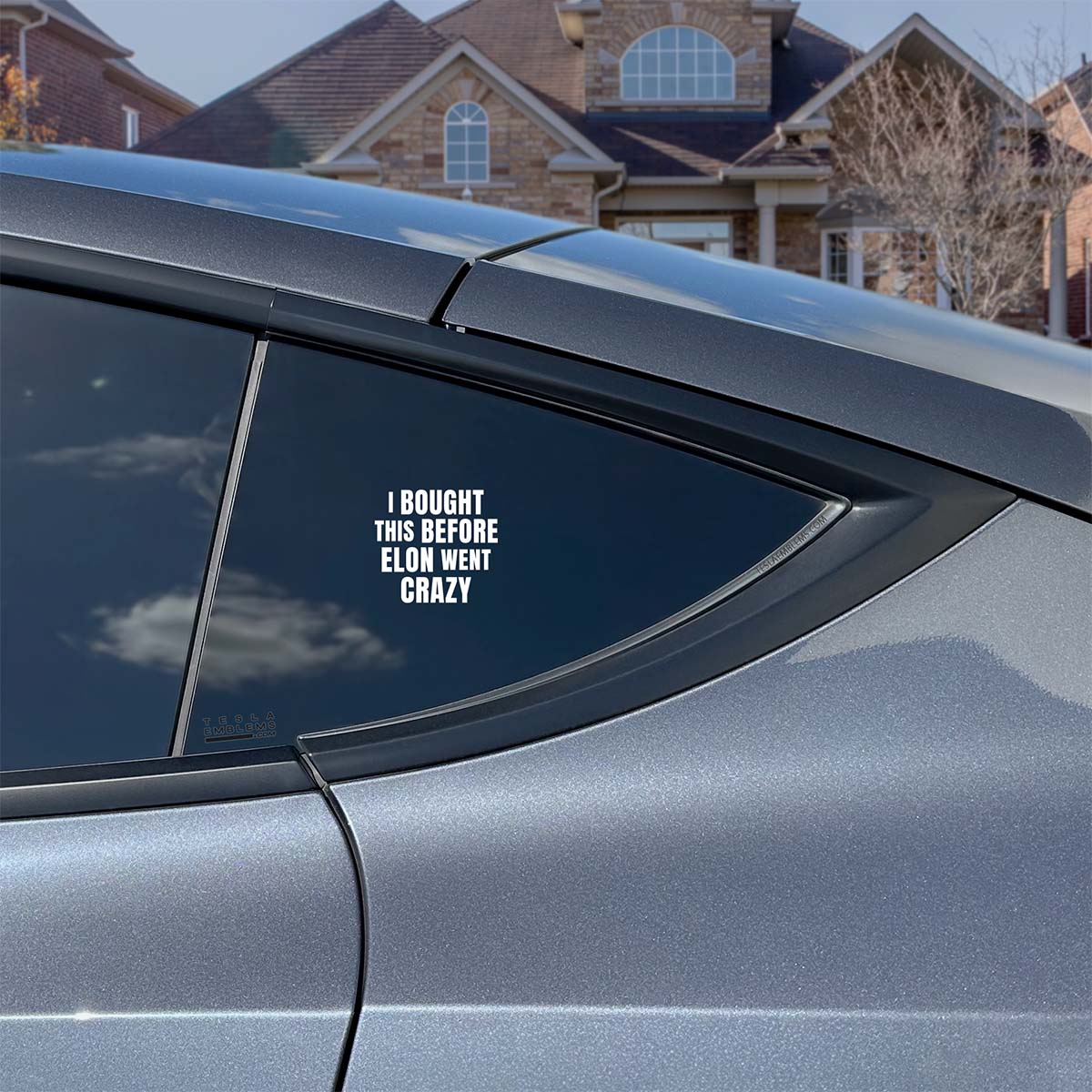 I Bought This Before Elon Went Crazy | Cut Vinyl Letters Decal - Tesla Emblems