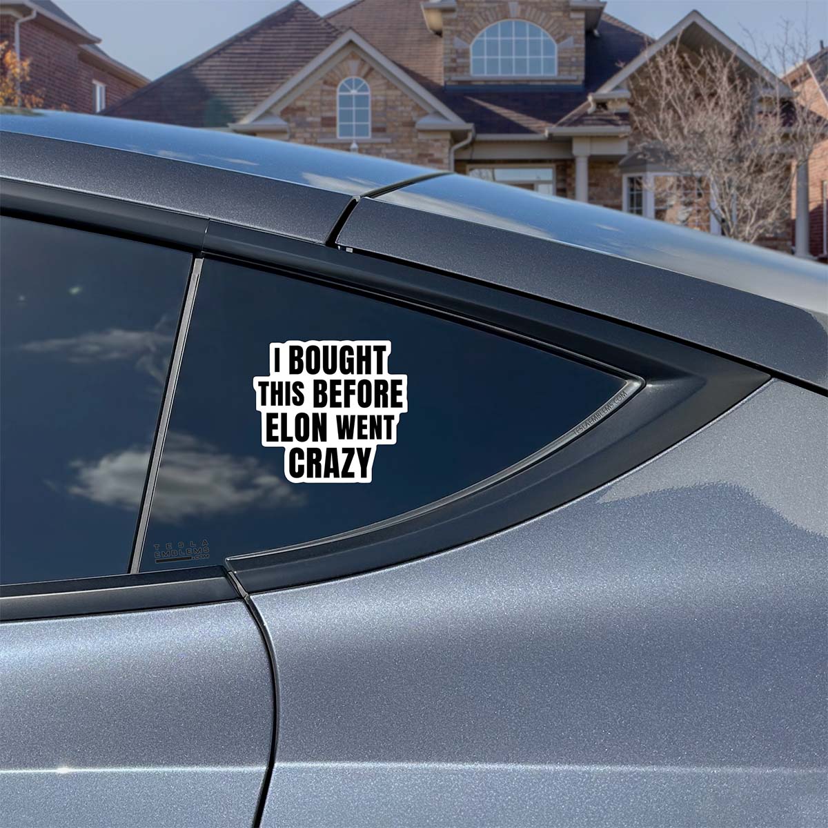 I Bought This Before Elon Went Crazy Vinyl Decal Sticker - Tesla Emblems