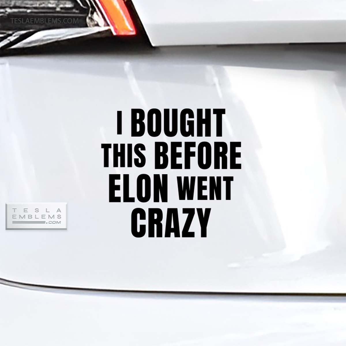 I Bought This Before Elon Went Crazy | Cut Vinyl Letters Decal - Tesla Emblems