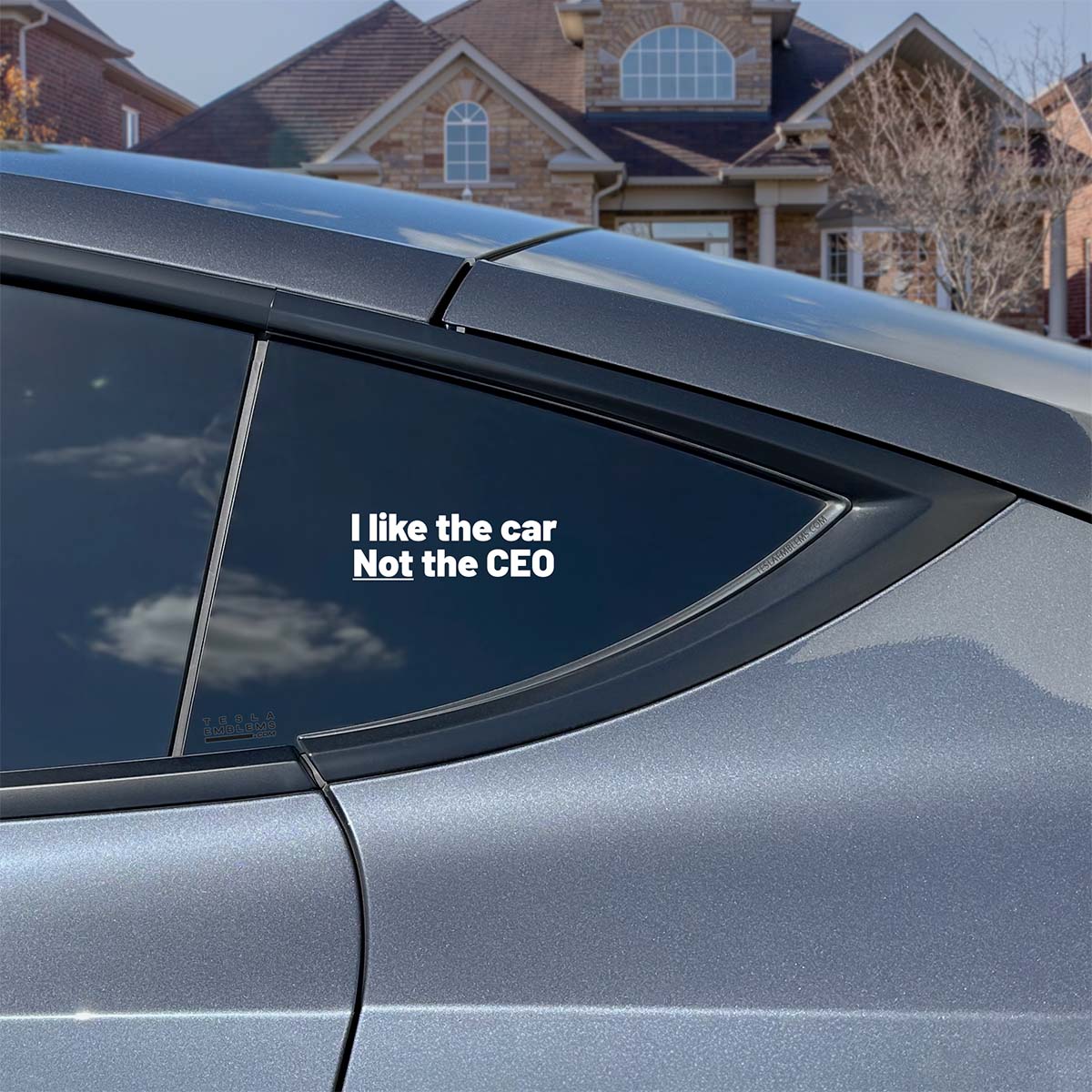 I Like The Car Not The CEO | Cut Vinyl Letters Decal - Tesla Emblems
