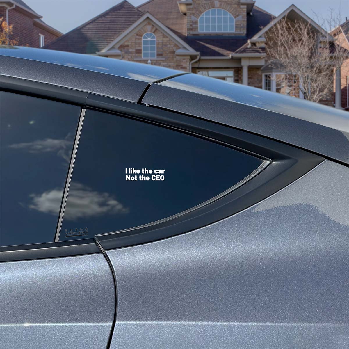 I Like The Car Not The CEO | Cut Vinyl Letters Decal - Tesla Emblems