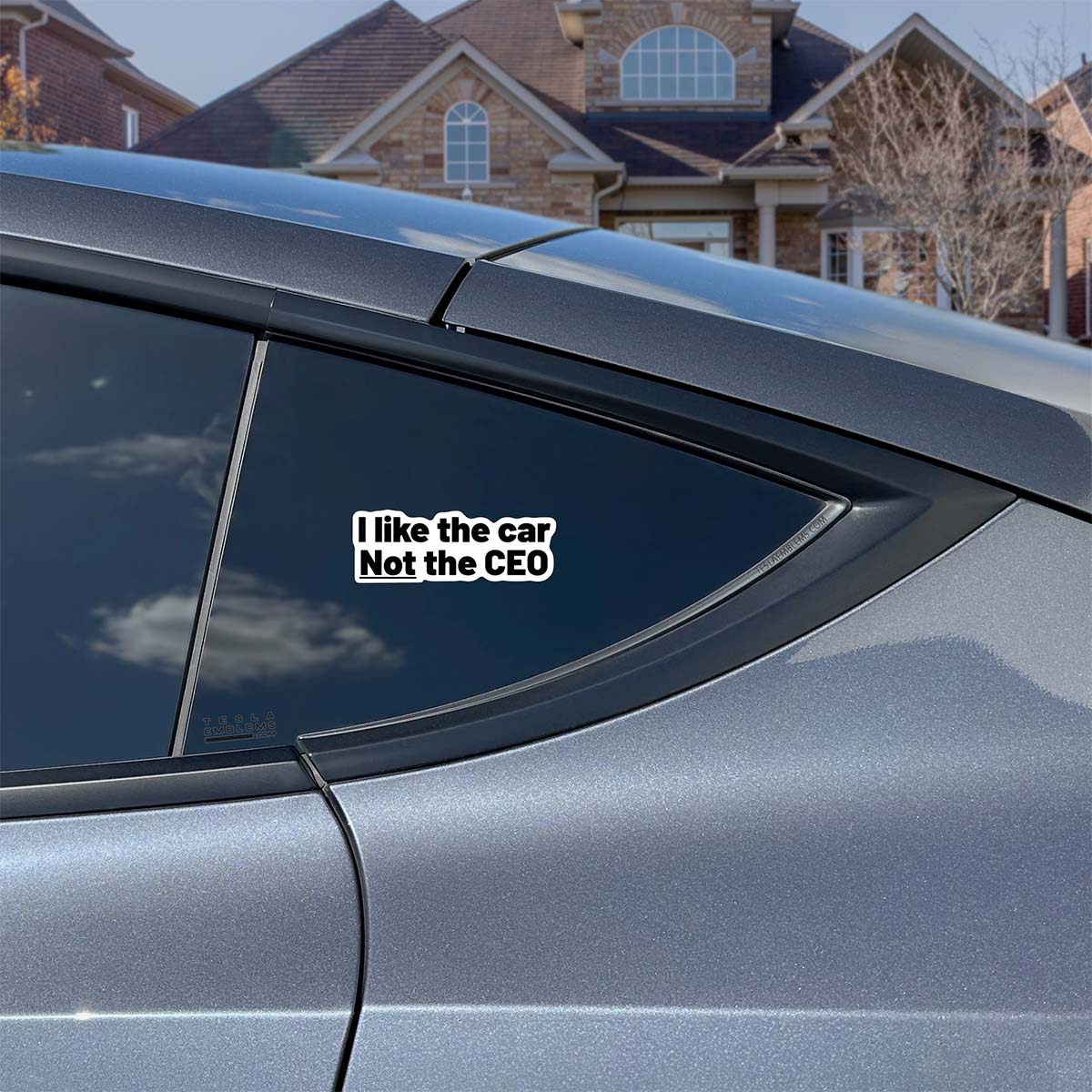 I Like The Car Not The CEO Vinyl Decal Sticker - Tesla Emblems