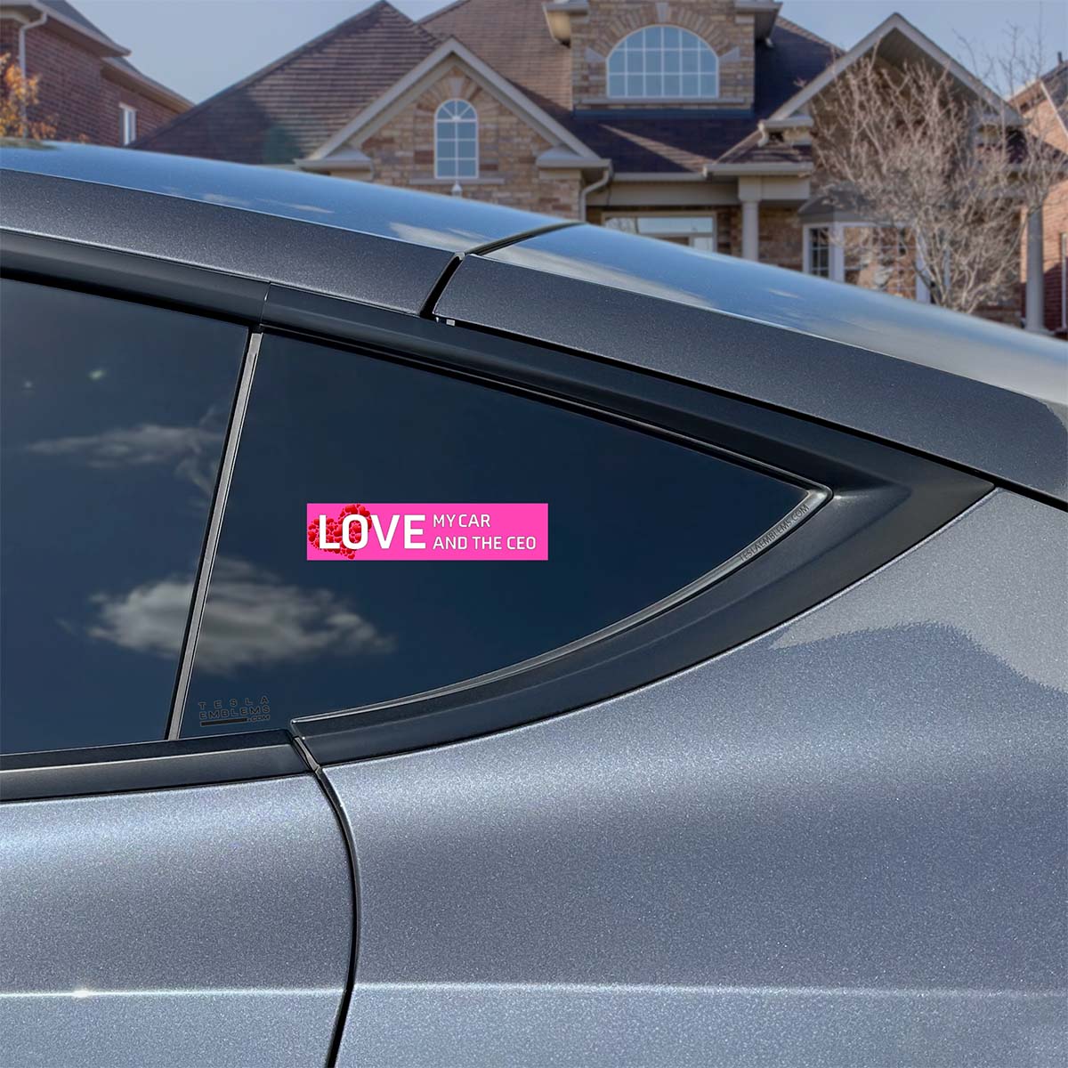 Love My Car And The CEO Vinyl Decal Sticker - Tesla Emblems