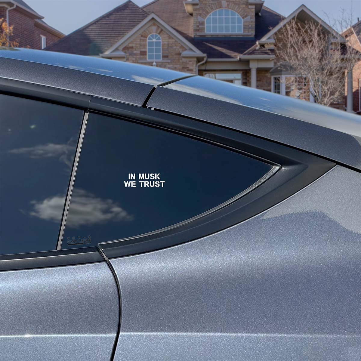 In Musk We Trust | Cut Vinyl Letters Decal - Tesla Emblems