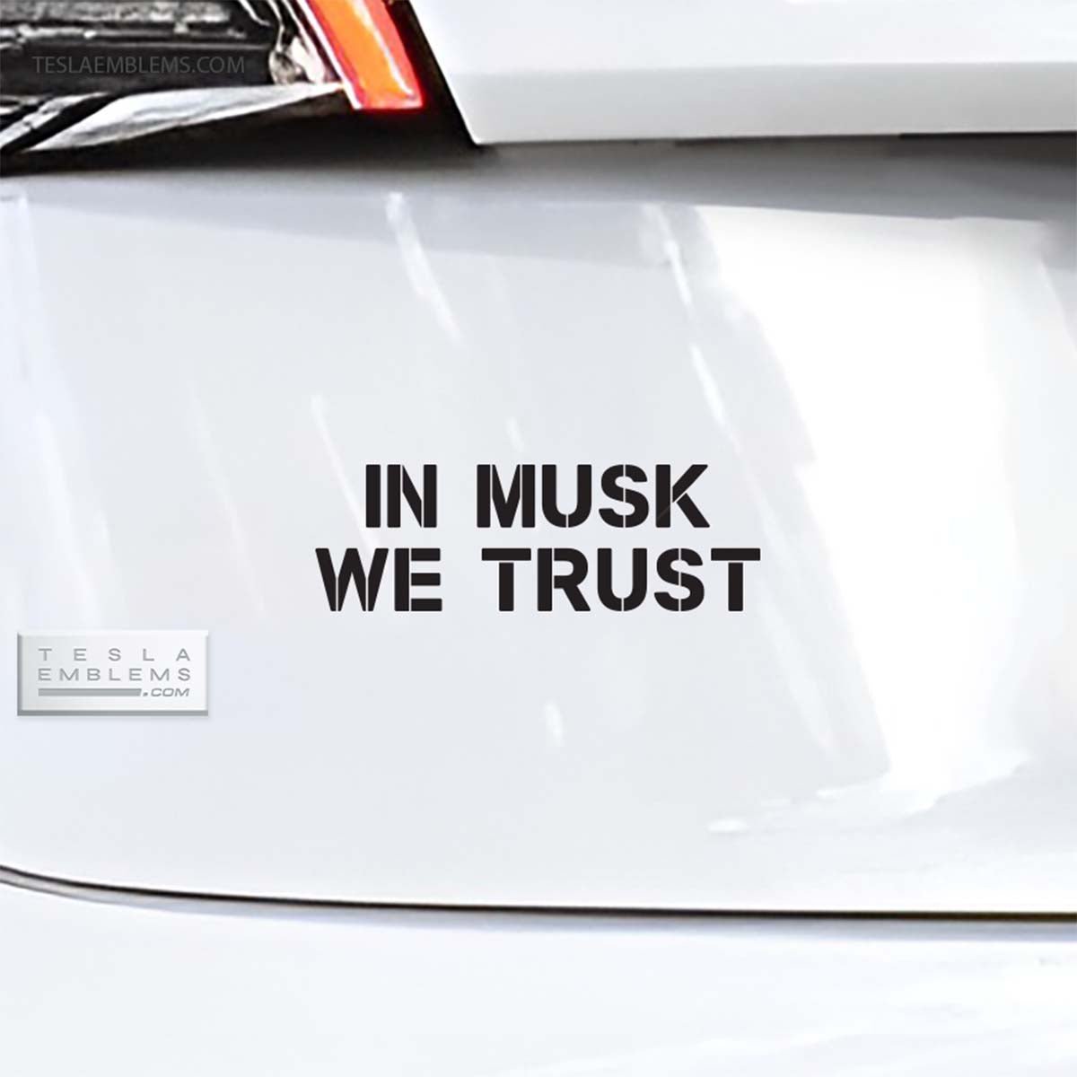 In Musk We Trust | Cut Vinyl Letters Decal - Tesla Emblems
