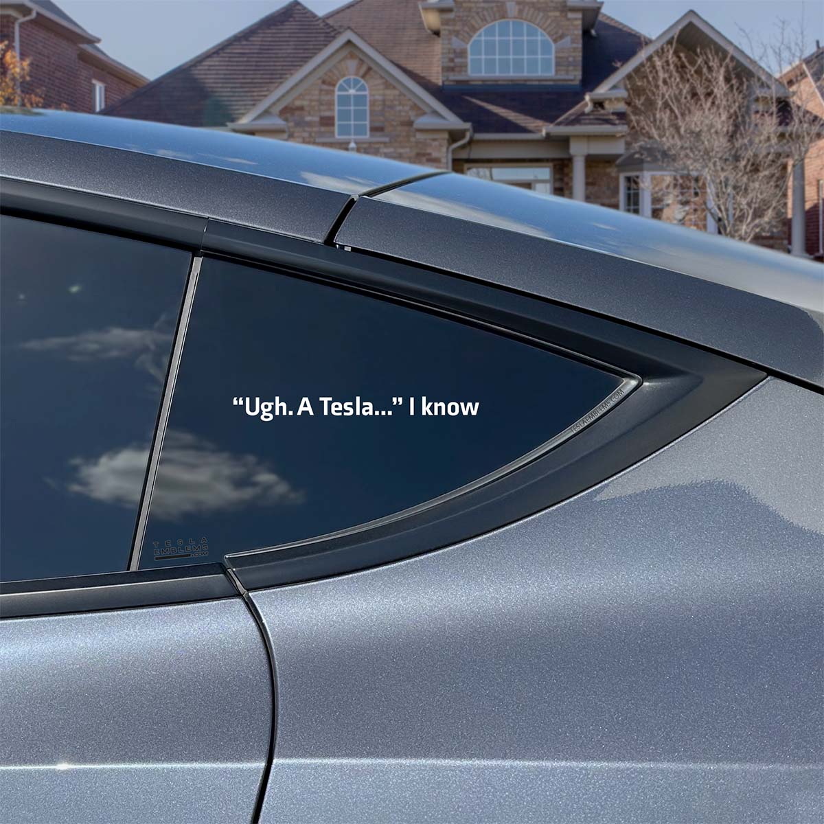 Ugh. A Tesla... I Know | Cut Vinyl Letters Decal - Tesla Emblems