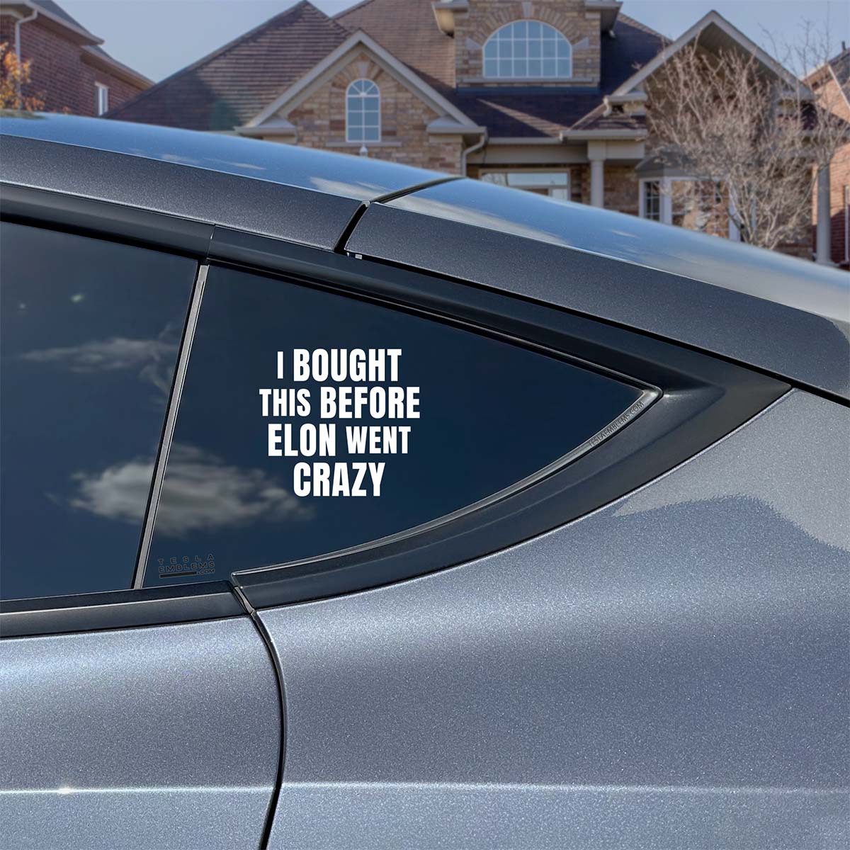 I Bought This Before Elon Went Crazy | Cut Vinyl Letters Decal - Tesla Emblems